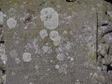 image of grave number 833536